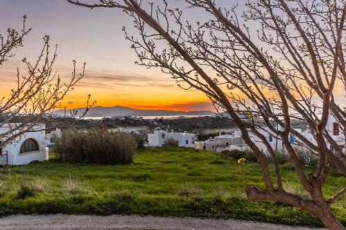 a view of a village at sunset with a tree at Touch Naxos Sunset in Galanado