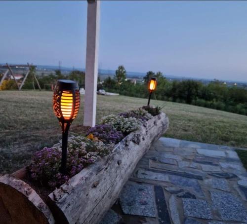 a couple of lights in a flower garden at Kuća za odmor "Vila Marina" in Klokočevik