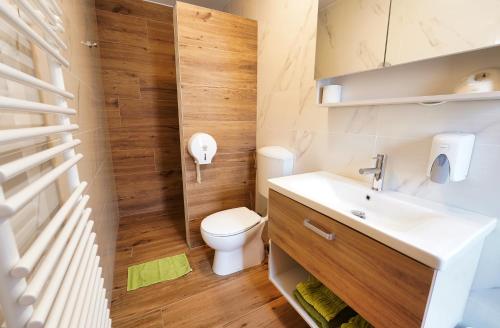a small bathroom with a toilet and a sink at Domačija Bubec in Ilirska Bistrica
