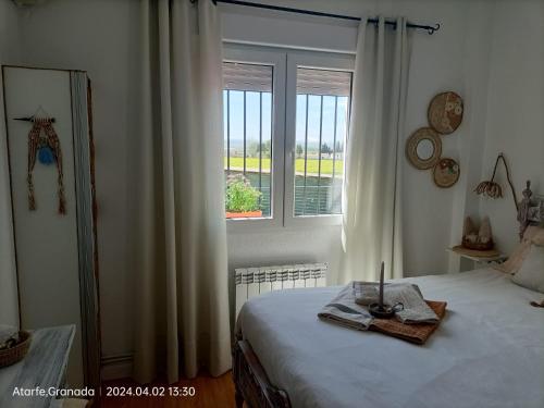 a bedroom with a bed and a window at CasaElaqui in Atarfe