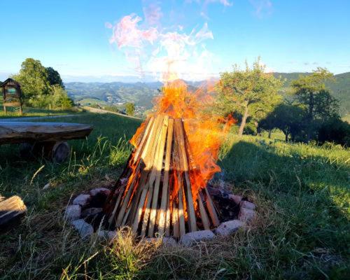 a fire pit in the middle of a field at Mitterhirschberg, Familie Schweighuber in Waidhofen an der Ybbs