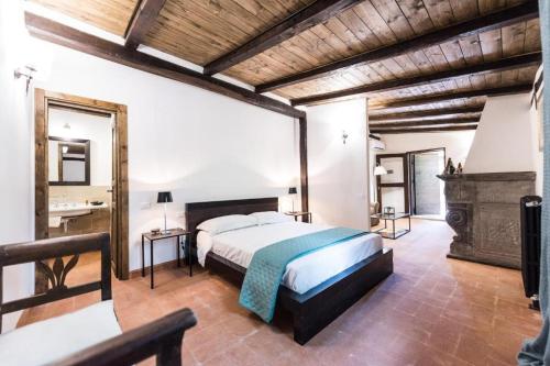 a large bedroom with a bed and a fireplace at Tenuta Torre di Pian Castagno in Sutri