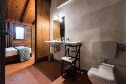 a bathroom with a sink and a toilet in a room at Tenuta Torre di Pian Castagno in Sutri
