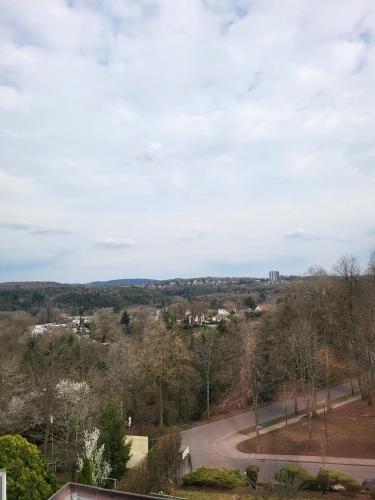 a view of a winding road in a park at Appartment B 40 in Pirmasens