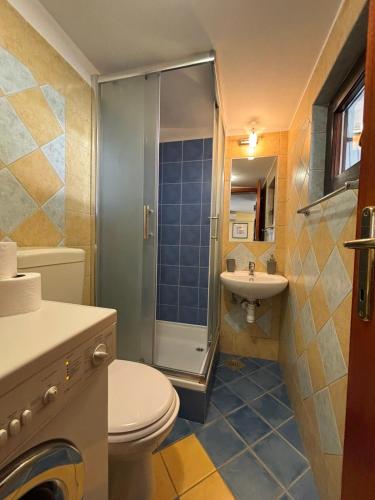 a bathroom with a shower and a toilet and a sink at Apartment Kaucic in Banjole
