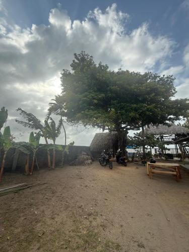 a tree in the middle of a dirt field at Espectacular cabaña frente al mar in Paso Nuevo