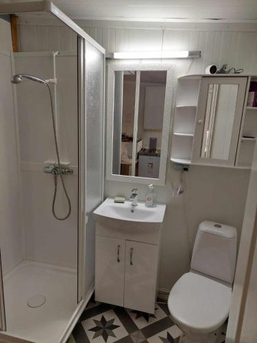 a bathroom with a shower and a sink and a toilet at Ålesund New Guesthouse in Ålesund