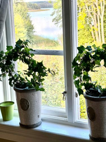 two potted plants sitting on a window sill at Fairy Lake Retreat! Uniquely Located House with Dock! in Bålsta