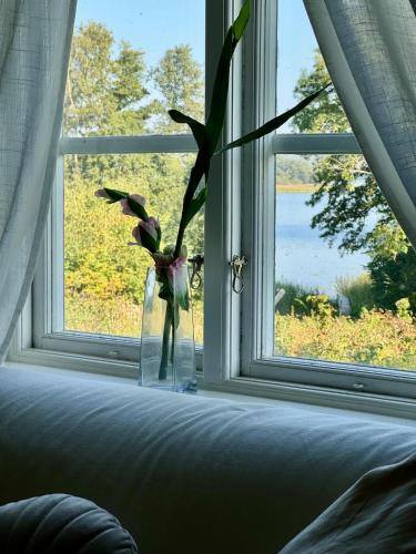 a vase of flowers in a window with a plant at Fairy Lake Retreat! Uniquely Located House with Dock! in Bålsta