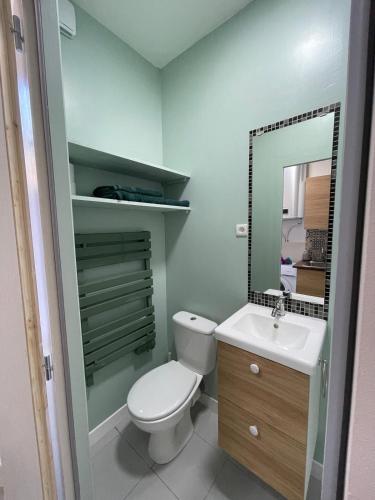 a bathroom with a toilet and a sink and a mirror at Studio tout beau tout confort tout calme in Le Havre