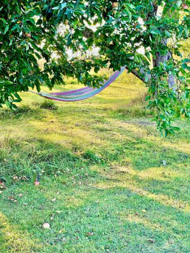 a hammock hanging from a tree in the grass at Fairy Lake Retreat! Uniquely Located House with Dock! in Bålsta