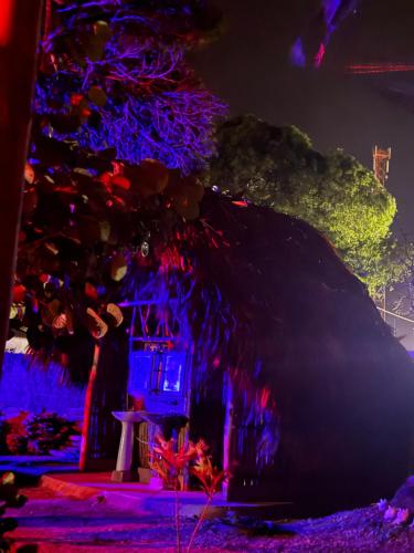a christmas tree is lit up with blue and red lights at Espectacular cabaña frente al mar in Paso Nuevo