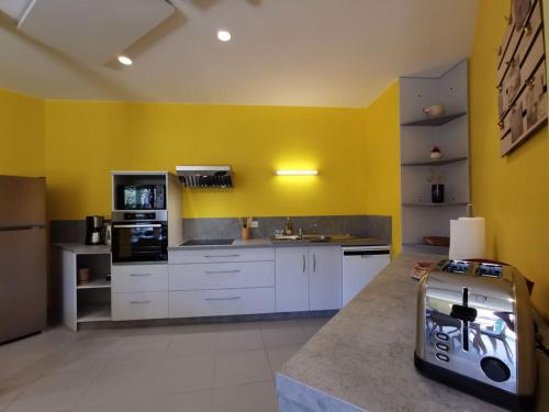 une cuisine avec des placards blancs et un mur jaune dans l'établissement Grand gîte de groupe le Val d'Allier confortable 15 personnes Saint-Haon Haute-Loire Auvergne, à Saint-Haon