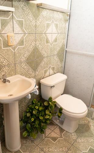 a bathroom with a toilet and a sink and a plant at Departamento Ángeles del Arenal #1 in Fortuna