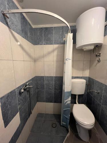 a bathroom with a toilet and a shower at Green Villa in Bar, Susanj