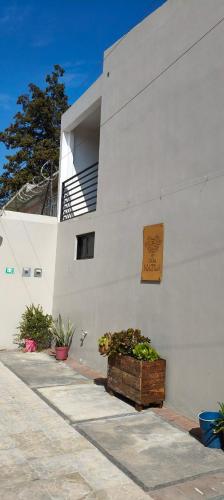 a white building with some plants in a wooden box at Casa Natla in San Lorenzo Tlalmimilolpan