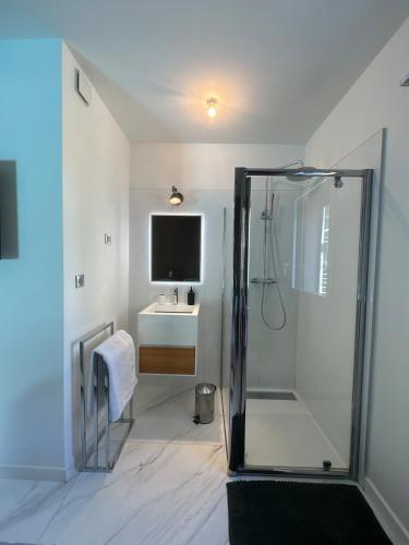La salle de bains est pourvue d'une douche, d'un lavabo et d'une télévision. dans l'établissement Contemporary home in Uriage, à Uriage-les-Bains