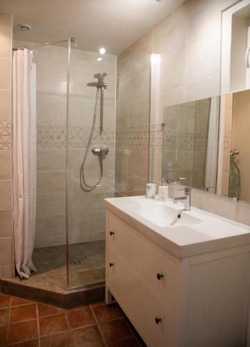 une salle de bain avec un lavabo et une douche dans l'établissement Gîte L'Ora des Marais V, à Sainte-Gemme-la-Plaine