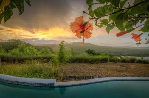 a view of the mountains from a pool with a flower at Casa Maya Lodge in Masatepe