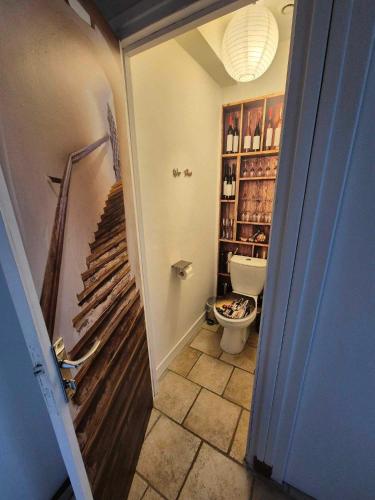 a small bathroom with a toilet and a shower at Le refuge des3petitscochons in Lalizolle