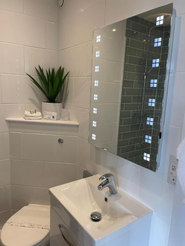 a bathroom with a sink and a toilet and a mirror at Riviera Apartments - Five Stylish Penthouse Apartments with Unrivalled Sea Views of Teignmouth, Shaldon, The Jurassic Coastline & The Teign Estuary in Teignmouth
