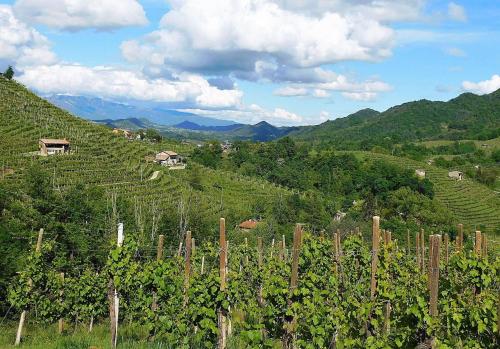 a view of a vineyard with mountains in the background at Villa Montello Pool, Jacuzzi, Ac, Wifi, Treviso in Volpago del Montello