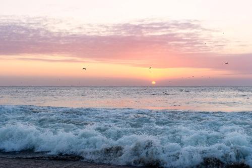 a group of birds flying over the ocean at sunset at Casa Wayta in Los Órganos