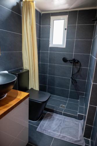 a bathroom with a shower with a toilet and a sink at Apartment Margarita in Athens