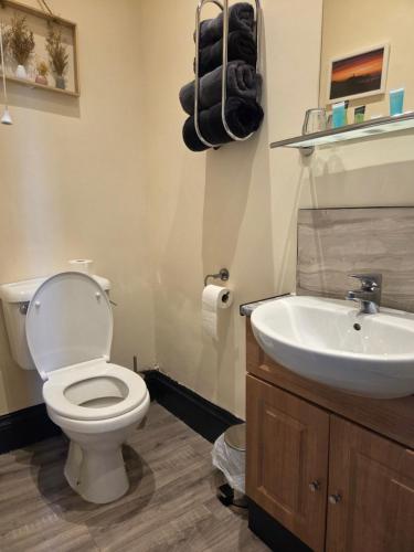 a bathroom with a toilet and a sink at St aubyn arms Hotel in Praze an Beeble