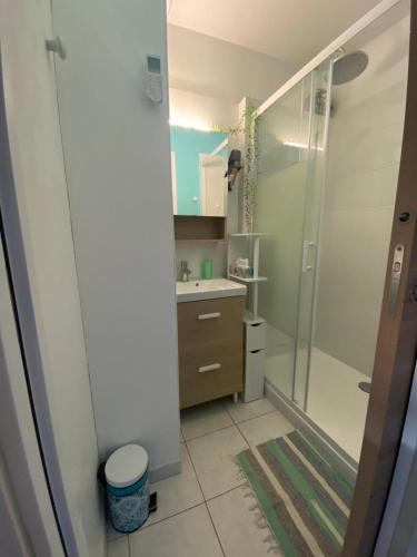 une salle de bain avec douche et lavabo dans l'établissement Appartement vue mer, au Barcarès