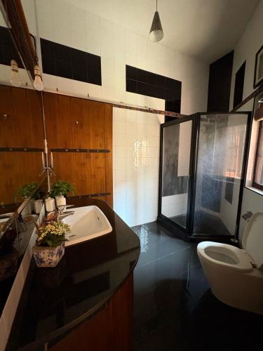 a bathroom with a sink and a toilet at Villa Plum Colombo in Battaramulla