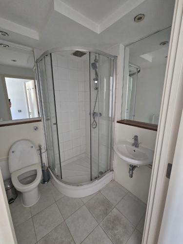 a bathroom with a shower and a toilet and a sink at En-suite room LGBTQ friendly in London