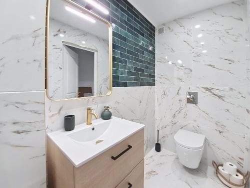 a bathroom with a sink and a mirror and a toilet at Bleu de Juan in Antibes