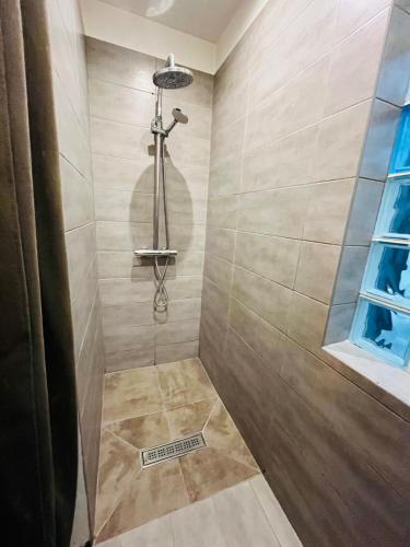 une douche avec pommeau de douche dans une salle de bain dans l'établissement Le Pont Péri, à Bourg-lès-Valence