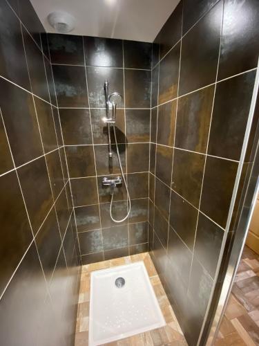 une salle de bain avec douche et toilettes dans l'établissement LE GRENIER DES MIOS, à La Bresse
