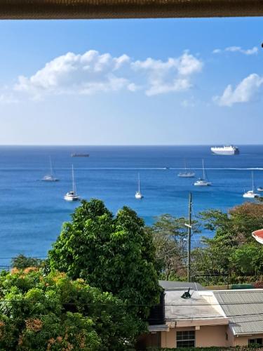 a view of the ocean with boats in the water at OCEAN VIEW APARTMENTs in Saint Georgeʼs