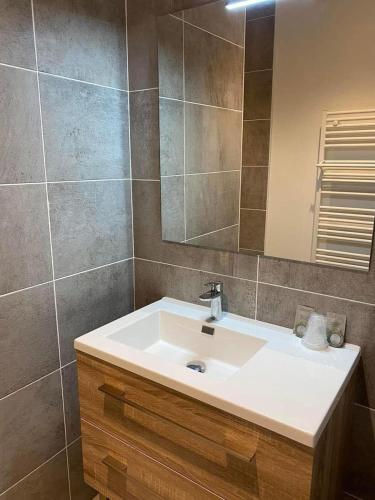 une salle de bain avec un lavabo et un miroir dans l'établissement Les Villas Gîtes de Vertrieu, à Vertrieu