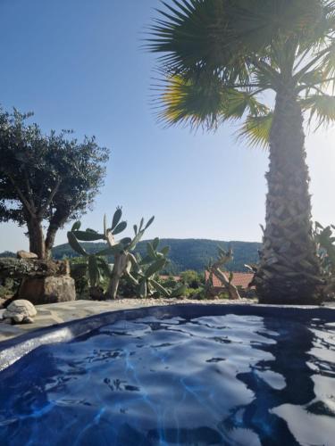 a swimming pool with a palm tree in the background at Ola Bella Vista in Figueiró dos Vinhos