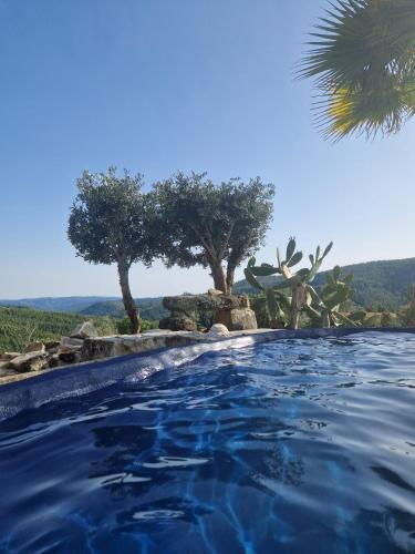 a swimming pool with trees in the background at Ola Bella Vista in Figueiró dos Vinhos