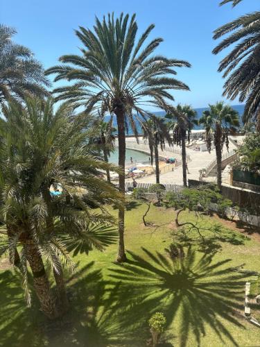 Nice Studio Apartment with Ocean View