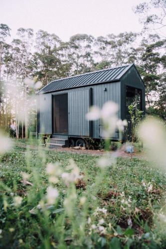 Zahrada ubytování Cosy Off-Grid Cabin in Kangaroo Valley - Miguel