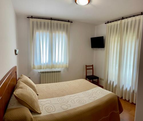 a bedroom with a bed and a television and windows at Apartamentos Puente La Molina in Carreña de Cabrales 