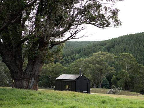 a black shed sitting in a field next to a tree at Off-Grid Cabin with Valley Views and Hot Tub - Pepe in Tarra Valley