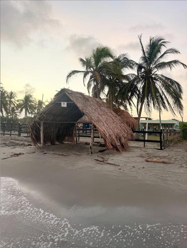 a thatched hut on a beach with palm trees at Cabaña Las Tres Palmas in San Bernardo del Viento in San Bernardo del Viento
