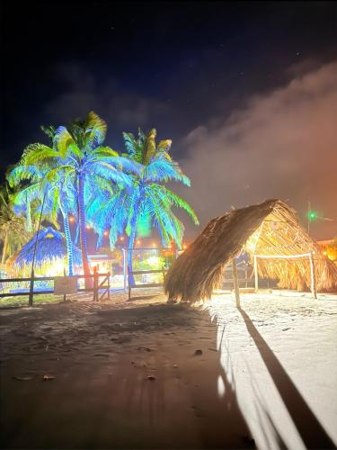 a beach with palm trees and a straw hut at Cabaña Las Tres Palmas in San Bernardo del Viento in San Bernardo del Viento