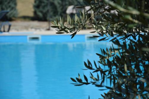Φωτογραφία από το άλμπουμ του Apartments Aurelia σε Nova Vas