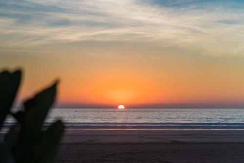 a sunset on the beach with a plant in the foreground at Radisson Blu Resort Taghazout Bay Surf Village in Taghazout