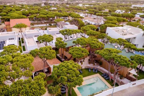 an aerial view of a house with trees and a pool at Apartamentos Biopasivos Living Pura Madera in Chiclana de la Frontera
