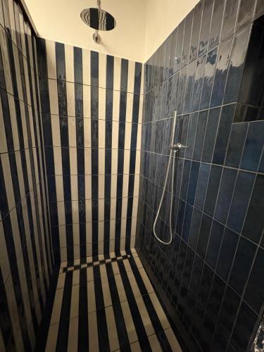 a bathroom with a shower with black and white tiles at B&B Villa la Canonica con piscina a Padernello in Farfengo