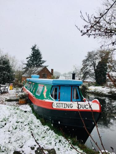 The Sitting Duck v zimě